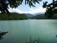 Zufallsbild