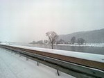 Elbblick