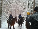 Im Wald