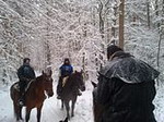 Im Wald