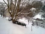 Unser Garten