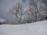 Winter pur