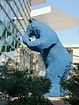 Blue Bear of Denver