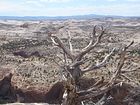 Escalante - Grand Stairs