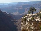 Grand Canyon pur
